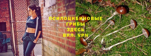 марки nbome Богородицк